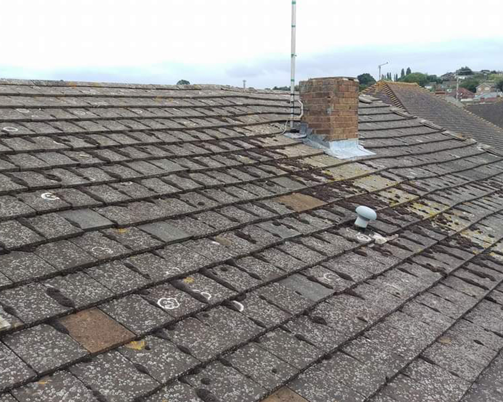 roofline - pitched roofs services