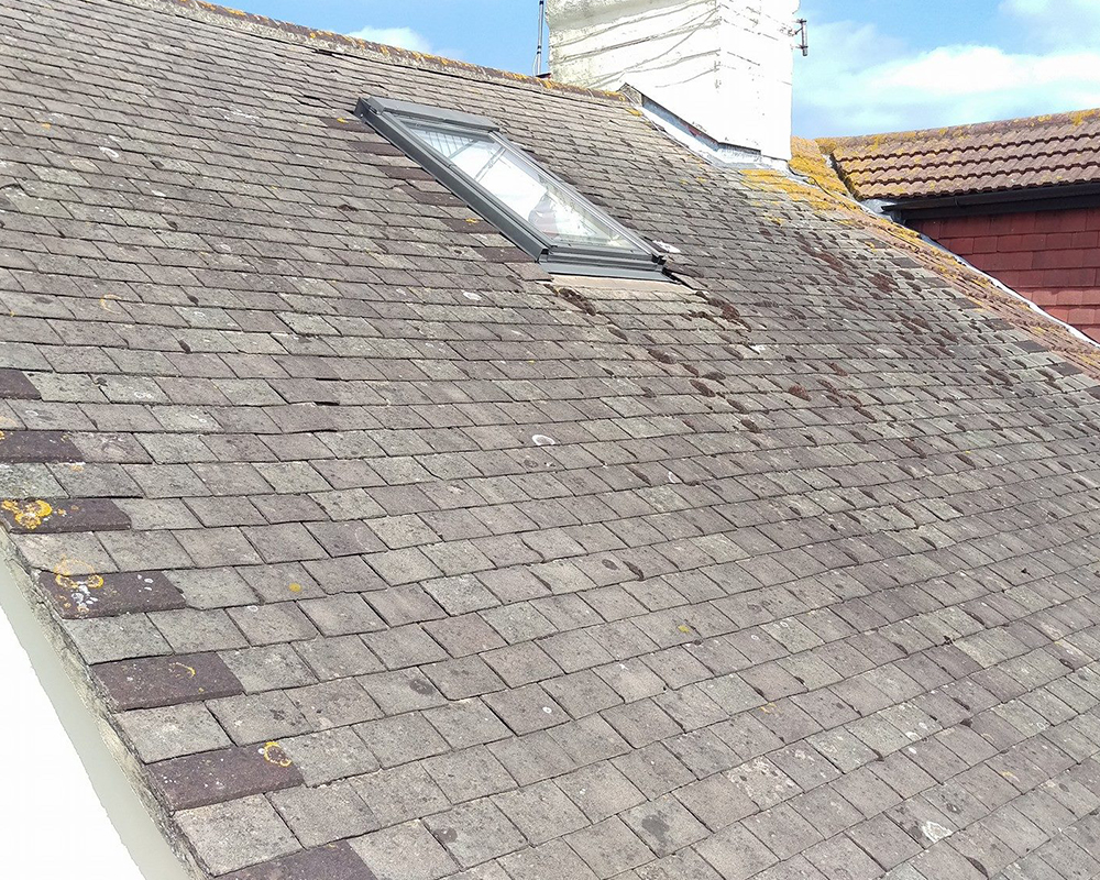 roofline - roof repairs services